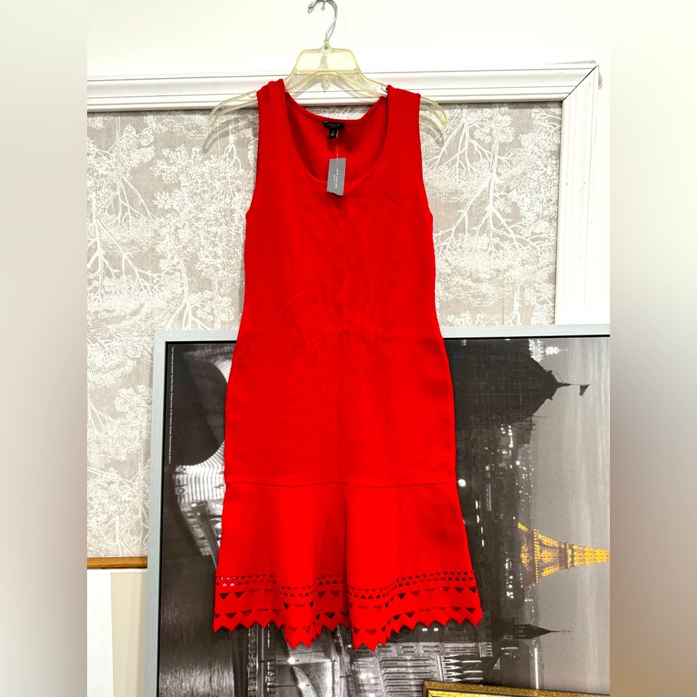 Ann taylor red sweater dress new with tags
